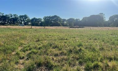 Agrícola en Venta en Carretera 5 Sur