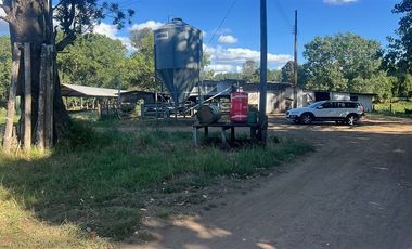 Agrícola en Venta en Carretera 5 Sur