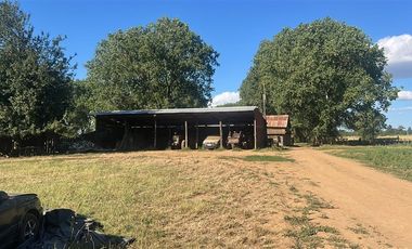 Agrícola en Venta en Carretera 5 Sur