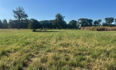 Agrícola en Venta en Carretera 5 Sur