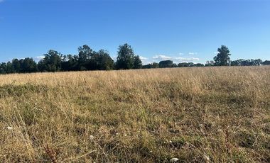 Agrícola en Venta en Carretera 5 Sur