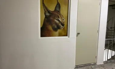 Oficina en renta en San Juan de Aragon, Gustavo A. Madero, Ciudad de México