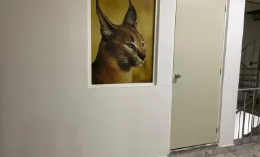 Oficina en renta en San Juan de Aragon, Gustavo A. Madero, Ciudad de México