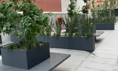 Departamento en venta en Carola, Álvaro Obregón, Ciudad de México