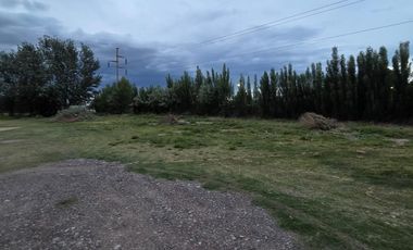 Alquiler de galpón. Ruta 69. General Roca.