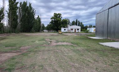 Alquiler de galpón. Ruta 69. General Roca.