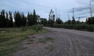 Alquiler de galpón. Ruta 69. General Roca.