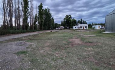 Alquiler de galpón. Ruta 69. General Roca.