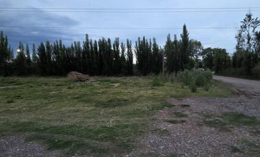 Alquiler de galpón. Ruta 69. General Roca.