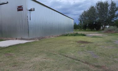 Alquiler de galpón. Ruta 69. General Roca.