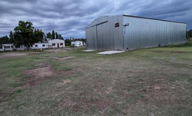 Alquiler de galpón. Ruta 69. General Roca.