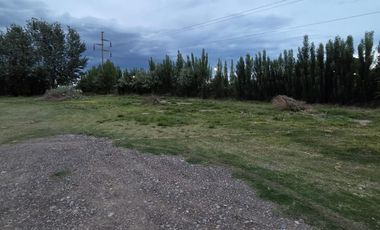 Alquiler de galpón. Ruta 69. General Roca.