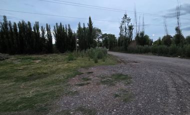 Alquiler de galpón. Ruta 69. General Roca.