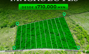 Terreno(5) en Venta en Haciendas de Yucatán, Seyé