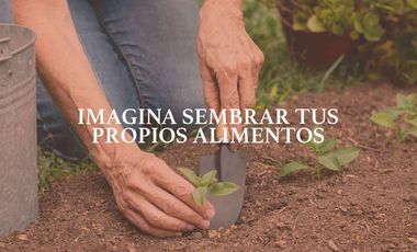 Terreno(5) en Venta en Haciendas de Yucatán, Seyé