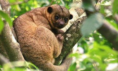 Terreno en Venta en Residencial Ki68, Mocochá