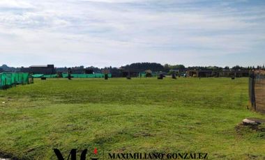 Lote Venta San Felipe