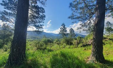 Casa en San Clemente a mt del rio San Jose