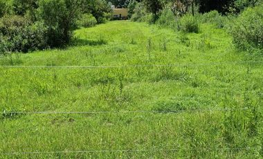 TERRENO ESCRITURADO 782 M2 LOTE 39 BARRIO CERRADO ESTANCIA LA CATALINA ROLDAN