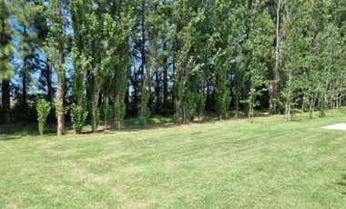 TERRENO ESCRITURADO 782 M2 LOTE 39 BARRIO CERRADO ESTANCIA LA CATALINA ROLDAN