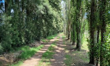 TERRENO ESCRITURADO 782 M2 LOTE 39 BARRIO CERRADO ESTANCIA LA CATALINA ROLDAN