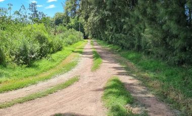 TERRENO ESCRITURADO 784 M2 LOTE 49 BARRIO CERRADO ESTANCIA LA CATALINA ROLDAN