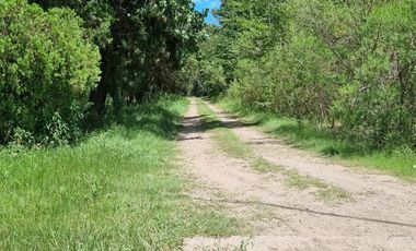 TERRENO ESCRITURADO 784 M2 LOTE 49 BARRIO CERRADO ESTANCIA LA CATALINA ROLDAN