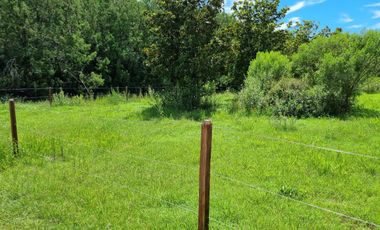 TERRENO ESCRITURADO 784 M2 LOTE 49 BARRIO CERRADO ESTANCIA LA CATALINA ROLDAN