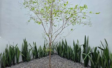 CASA EN VENTA 1 PLANTA, 3 RECÁMARAS, 2 BAÑOS, COCHERA PARA 1 AUTO.