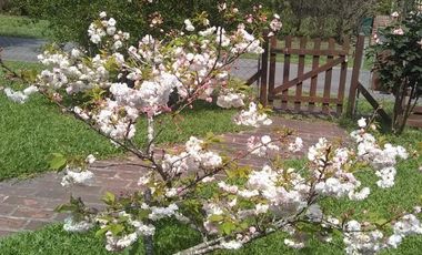 Casa 4 ambientes en venta - Club El Carmen