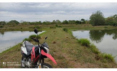 SE VENDE LOTE EN ZONA RURAL DEL MUNICIPIO DE MOMIL CÓRDOBA