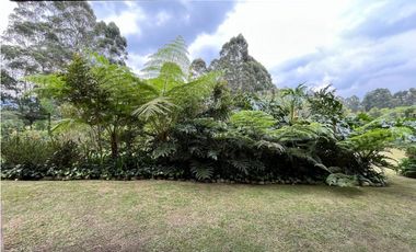 Apartamento en Arriendo en Llanogrande