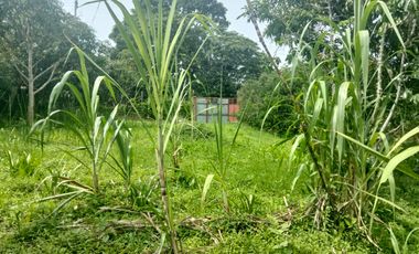 LOTE VEREDA SN NICOLAS - LA MESA CUNDINAMARCA