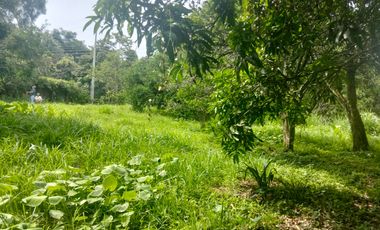 LOTE VEREDA SN NICOLAS - LA MESA CUNDINAMARCA