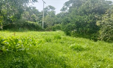 LOTE VEREDA SN NICOLAS - LA MESA CUNDINAMARCA