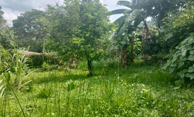 LOTE VEREDA SN NICOLAS - LA MESA CUNDINAMARCA