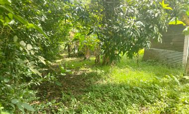 LOTE VEREDA SN NICOLAS - LA MESA CUNDINAMARCA