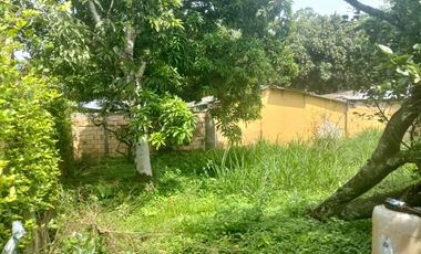 LOTE VEREDA SN NICOLAS - LA MESA CUNDINAMARCA