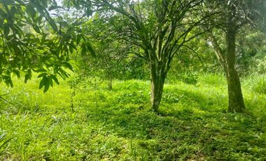 LOTE VEREDA SN NICOLAS - LA MESA CUNDINAMARCA