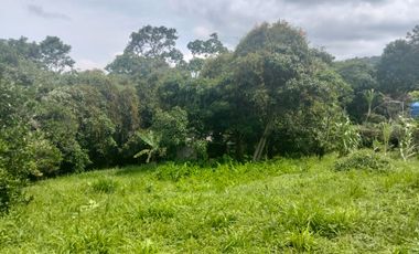 LOTE VEREDA SN NICOLAS - LA MESA CUNDINAMARCA