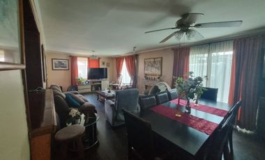 RAPANUI Y SALOMON SACK