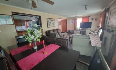 RAPANUI Y SALOMON SACK