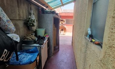 RAPANUI Y SALOMON SACK