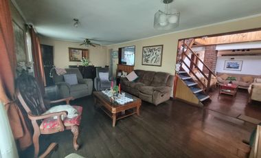 RAPANUI Y SALOMON SACK