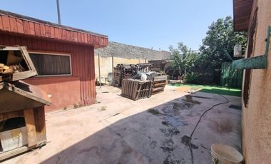 RAPANUI Y SALOMON SACK