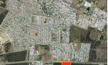 Terreno en renta en Centro de Cadereyta Jiménez, Cadereyta Jiménez