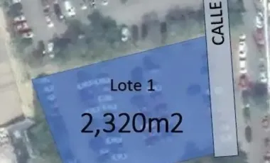 Terreno en renta en Santa Maria, Monterrey, Nuevo León