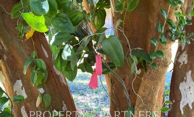 Hermosa casa en Condominio Riberas del Miraflores