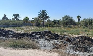 TERRENO EN VENTA EN EL EJIDO SAM MIGUEL, MATAMOROS, COAHUILA.