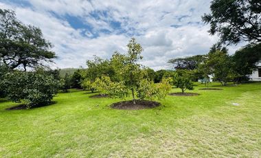 Quinta en venta en Guayllabamba